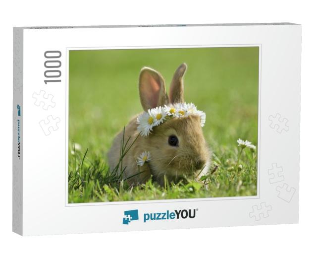 Bunny in Grass, Daisy Coronet, Spring & Easter... Jigsaw Puzzle with 1000 pieces