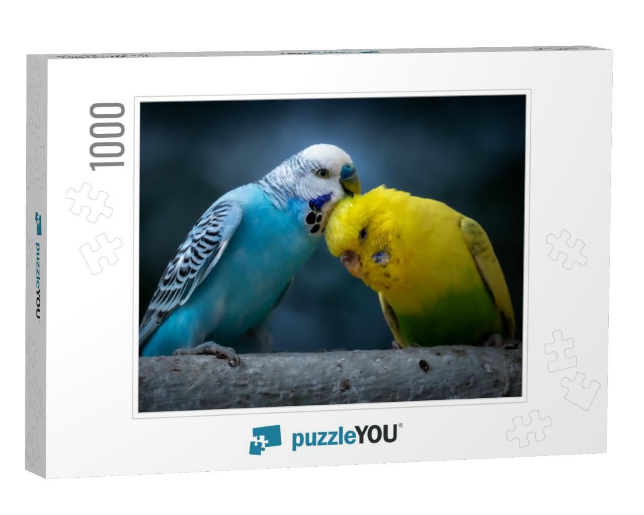 Portrait of a Blue Budgie & Yellow Green Budgie Melopsitt... Jigsaw Puzzle with 1000 pieces