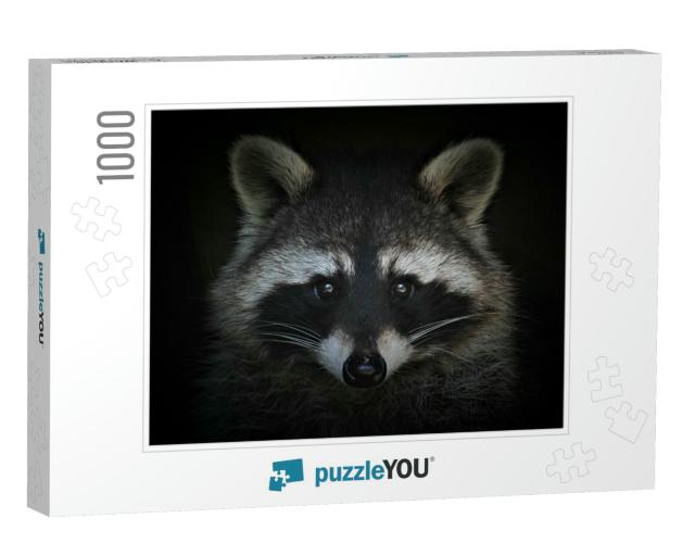 Portrait of a Cute Raccoon on a Black Background... Jigsaw Puzzle with 1000 pieces