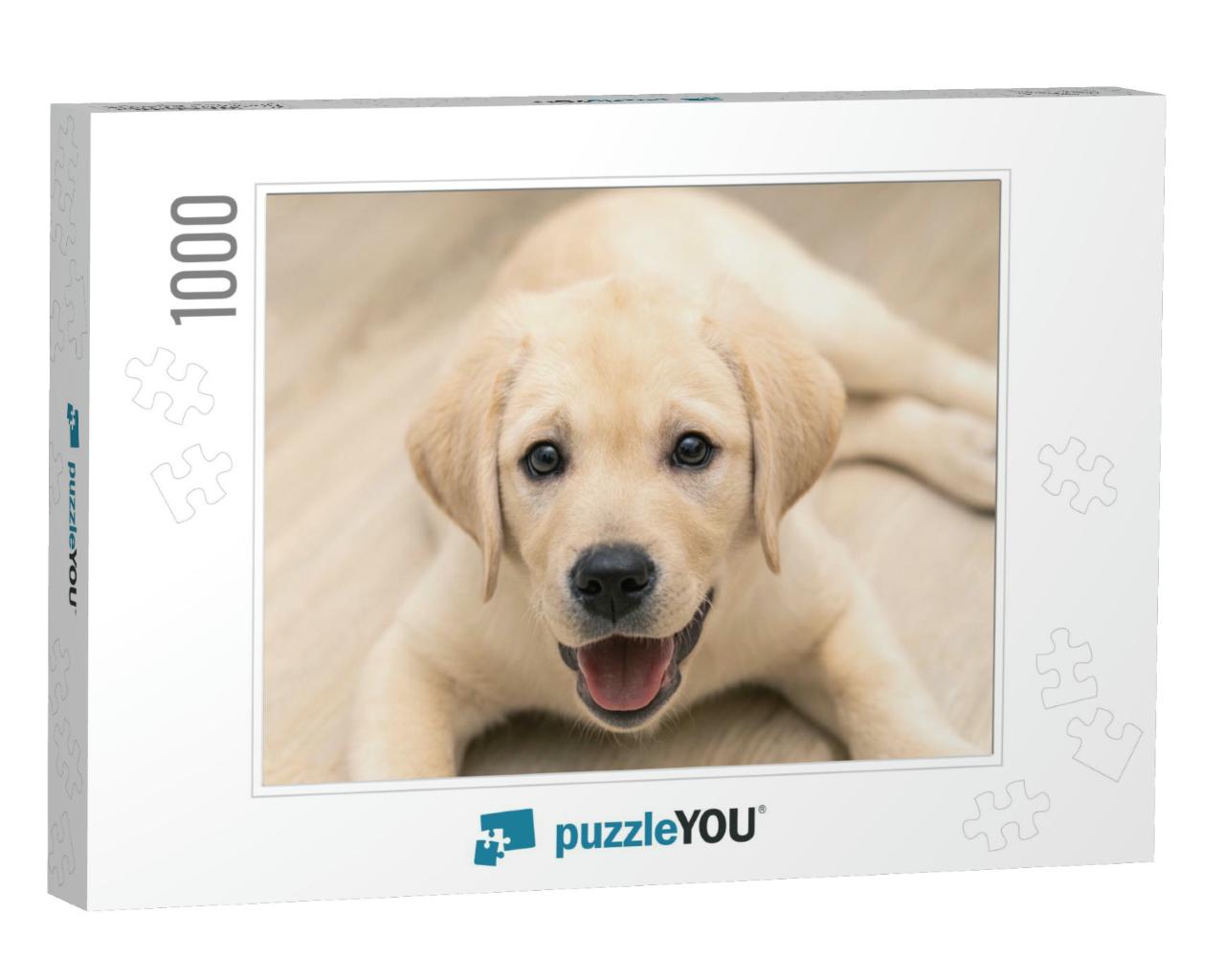 Cute Adorable Little Golden Labrador Puppy is Lying on Fl... Jigsaw Puzzle with 1000 pieces