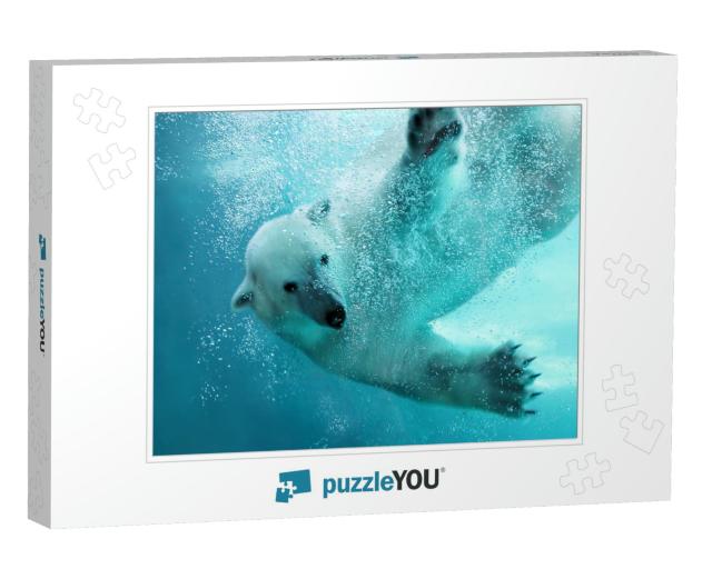 Polar Bear Attacking Underwater with Full Paw Blow Detail... Jigsaw Puzzle