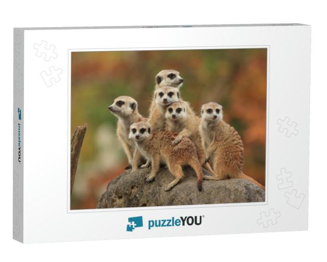 Group of Meerkat... Jigsaw Puzzle