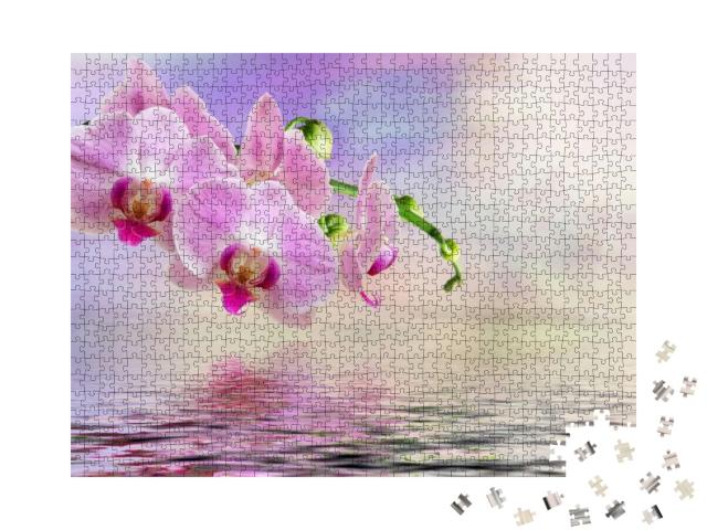 Close Up of Orchid Flower... Jigsaw Puzzle with 1000 pieces