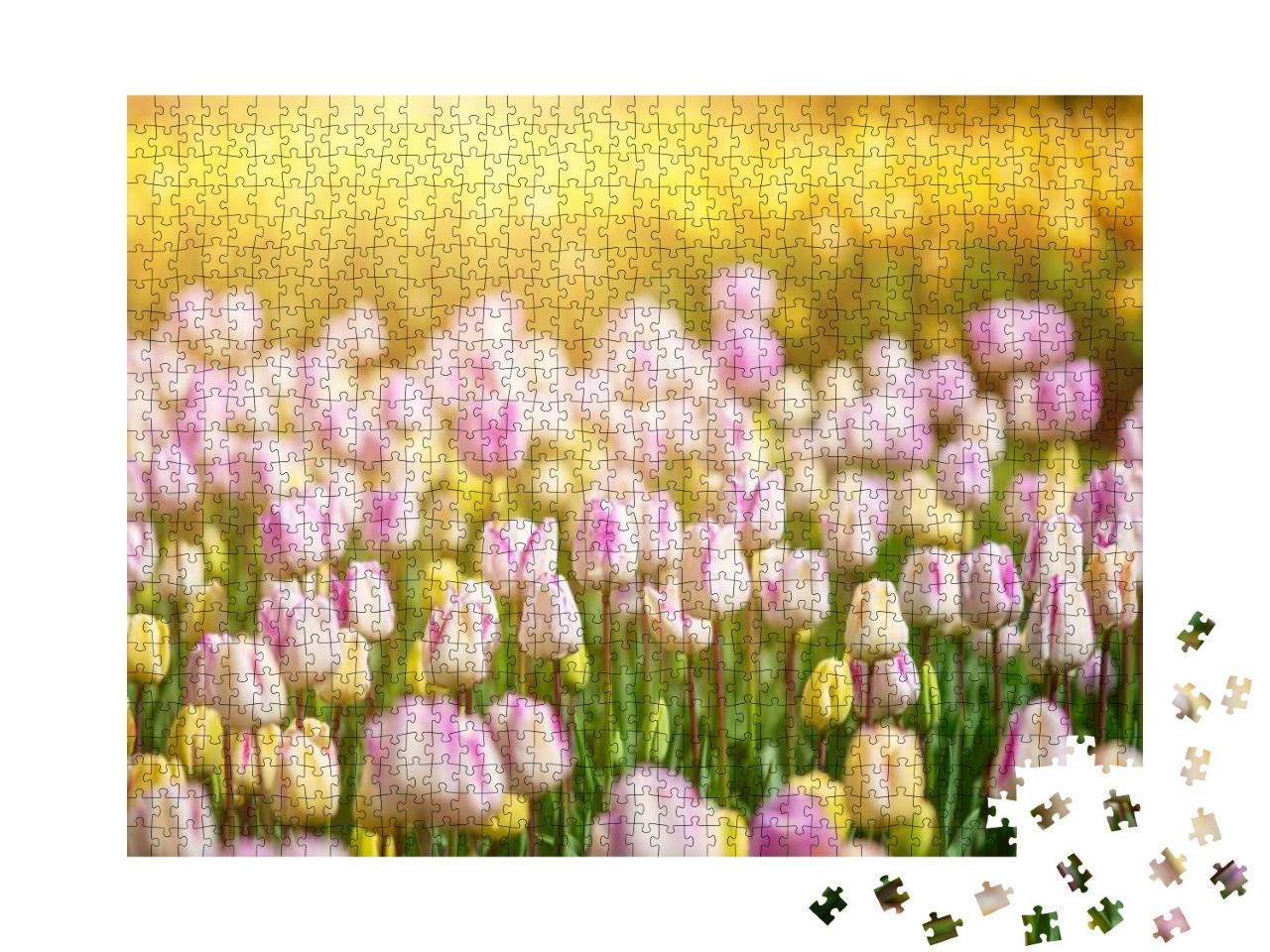 Spring Meadow with a Lot of Multicolored Violet & Yellow... Jigsaw Puzzle with 1000 pieces
