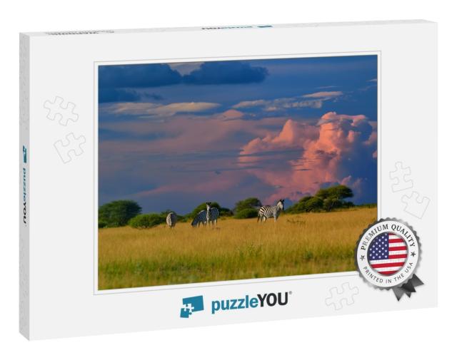 African Landscape. Herd of Plains Zebra, Equus Quagga, St... Jigsaw Puzzle