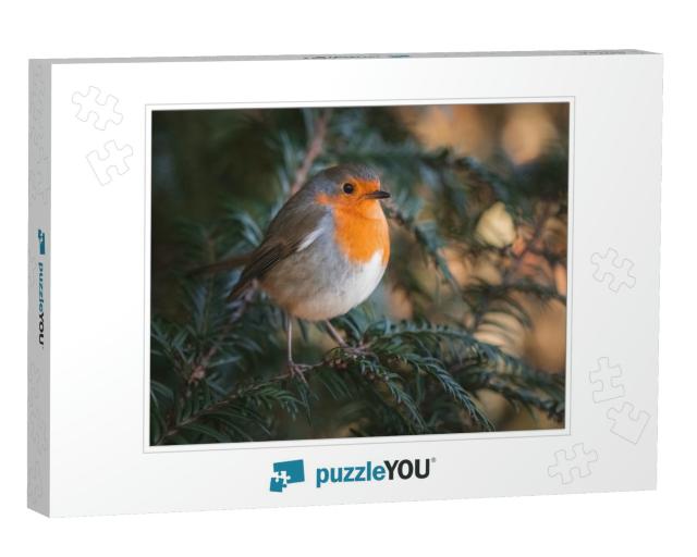 A Robin Sitting on a Green Branch... Jigsaw Puzzle