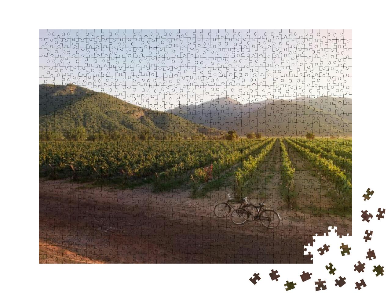 Beautiful Winery Landscape on Golden Hour... Jigsaw Puzzle with 1000 pieces