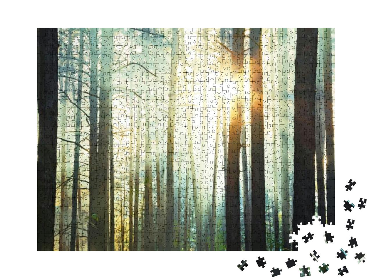 Sunset in the Woods, Vector... Jigsaw Puzzle with 1000 pieces