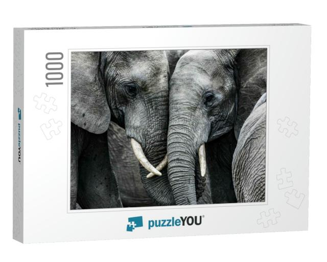 Elephants... Jigsaw Puzzle with 1000 pieces