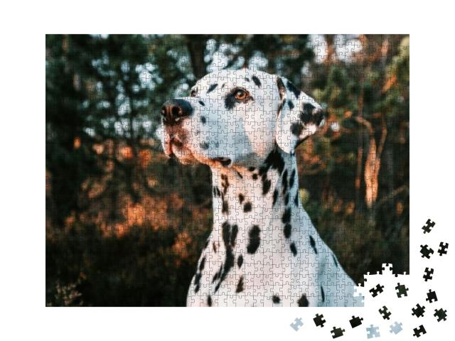 Landscape Portrait of Cute Dalmatian Dog with Black Spots... Jigsaw Puzzle with 1000 pieces