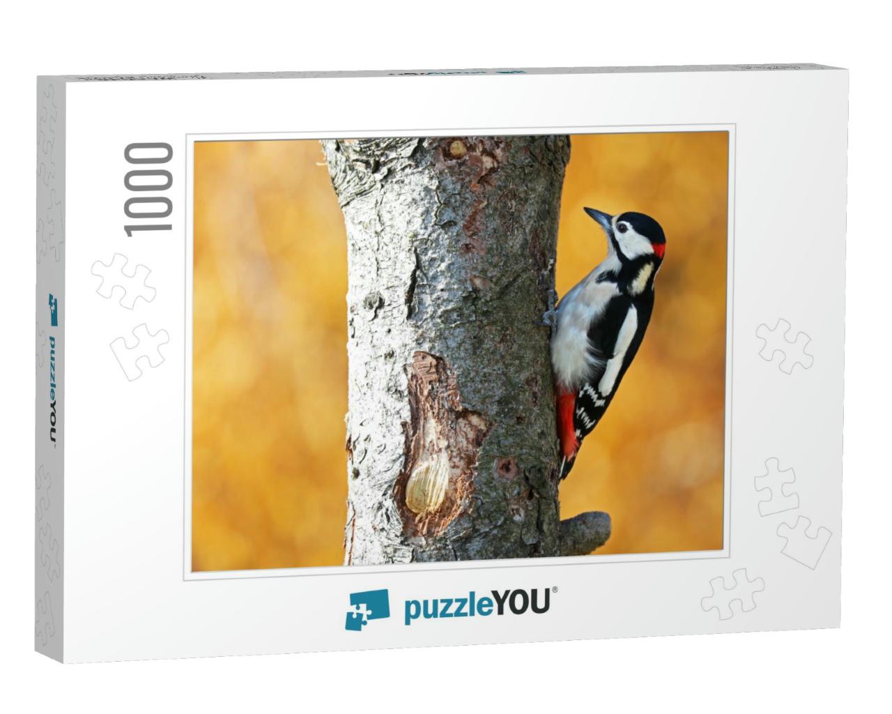 Great Spotted Woodpecker with Yellow Background... Jigsaw Puzzle with 1000 pieces