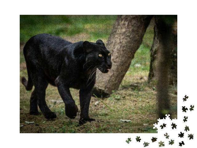 Black Panther in the Forest... Jigsaw Puzzle with 1000 pieces