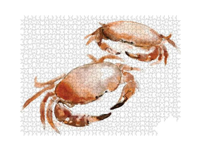 A Watercolor Painting of Two Crabs, Isolated on A... Jigsaw Puzzle with 1000 pieces