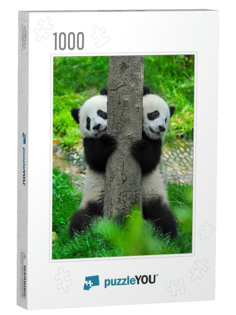 Panda Bear Twins... Jigsaw Puzzle with 1000 pieces