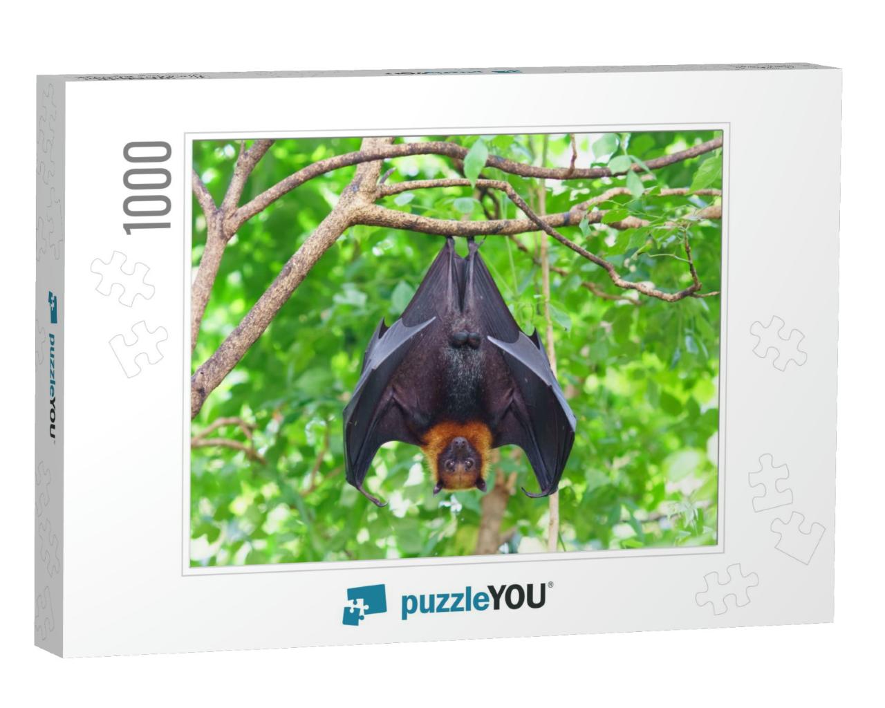 Fruit Bat Hanging on Tree in Forest. Lyles Flying Fox... Jigsaw Puzzle with 1000 pieces