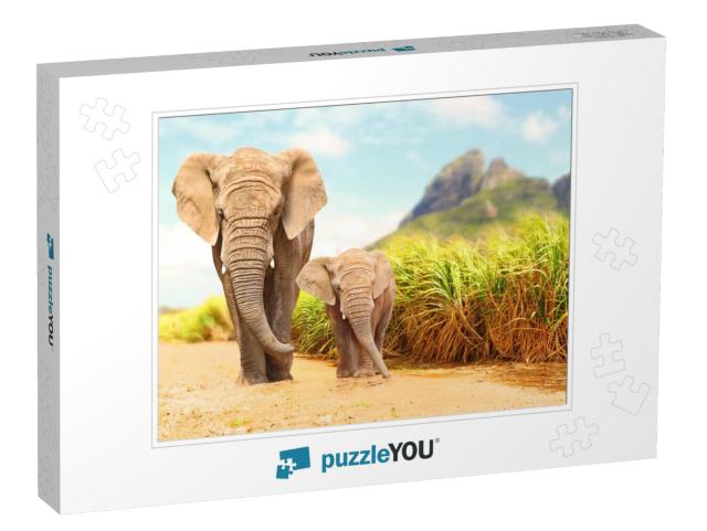 African Bush Elephants - Loxodonta Africana Family Walkin... Jigsaw Puzzle