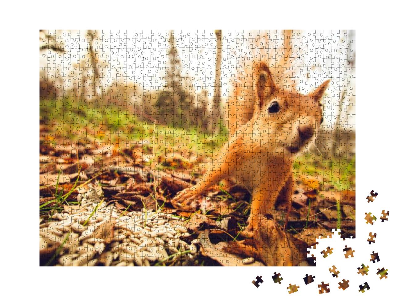 Squirrel Red Fur Funny Pets Autumn Forest on Background W... Jigsaw Puzzle with 1000 pieces