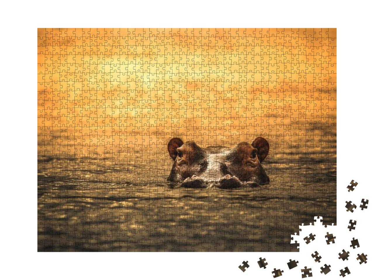 A Hippo At Sunset in the Selous Game Reserve, Tanzania... Jigsaw Puzzle with 1000 pieces