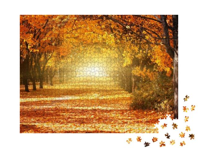 Beautiful Romantic Alley in a Park with Colorful Trees &... Jigsaw Puzzle with 1000 pieces