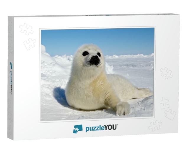 Baby Harp Seal Magdalen Islands... Jigsaw Puzzle