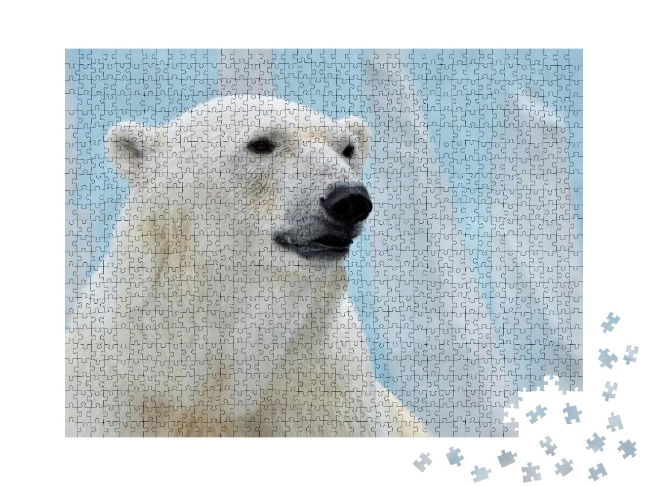 Portrait of a Polar Bear on a Blue Background... Jigsaw Puzzle with 1000 pieces