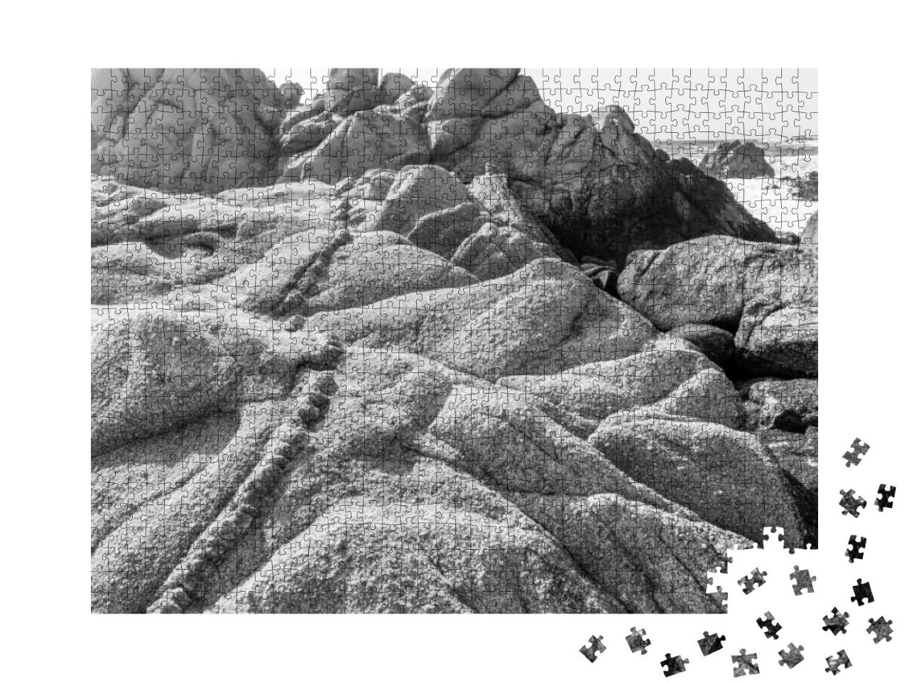 Dramatic Black & White Image of Crystal Veins Going Throu... Jigsaw Puzzle with 1000 pieces