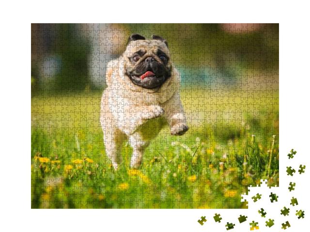 Dog, Pug, Animal, Puppy, Pet, Canine, Cute, Breed, Bulldo... Jigsaw Puzzle with 1000 pieces