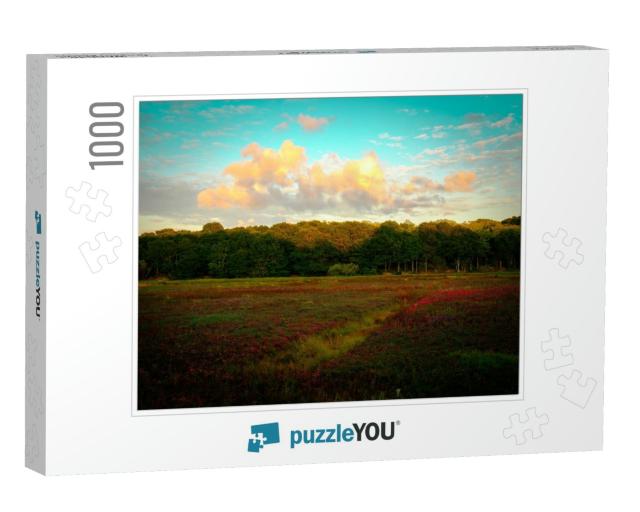 Dramatic Cloudscape Over the Cranberry Bog in Autumn on T... Jigsaw Puzzle with 1000 pieces