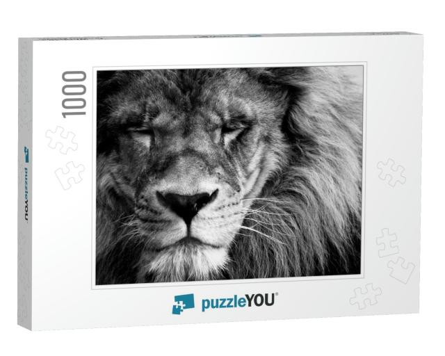 Portrait of a Beautiful Lion in Black & White... Jigsaw Puzzle with 1000 pieces