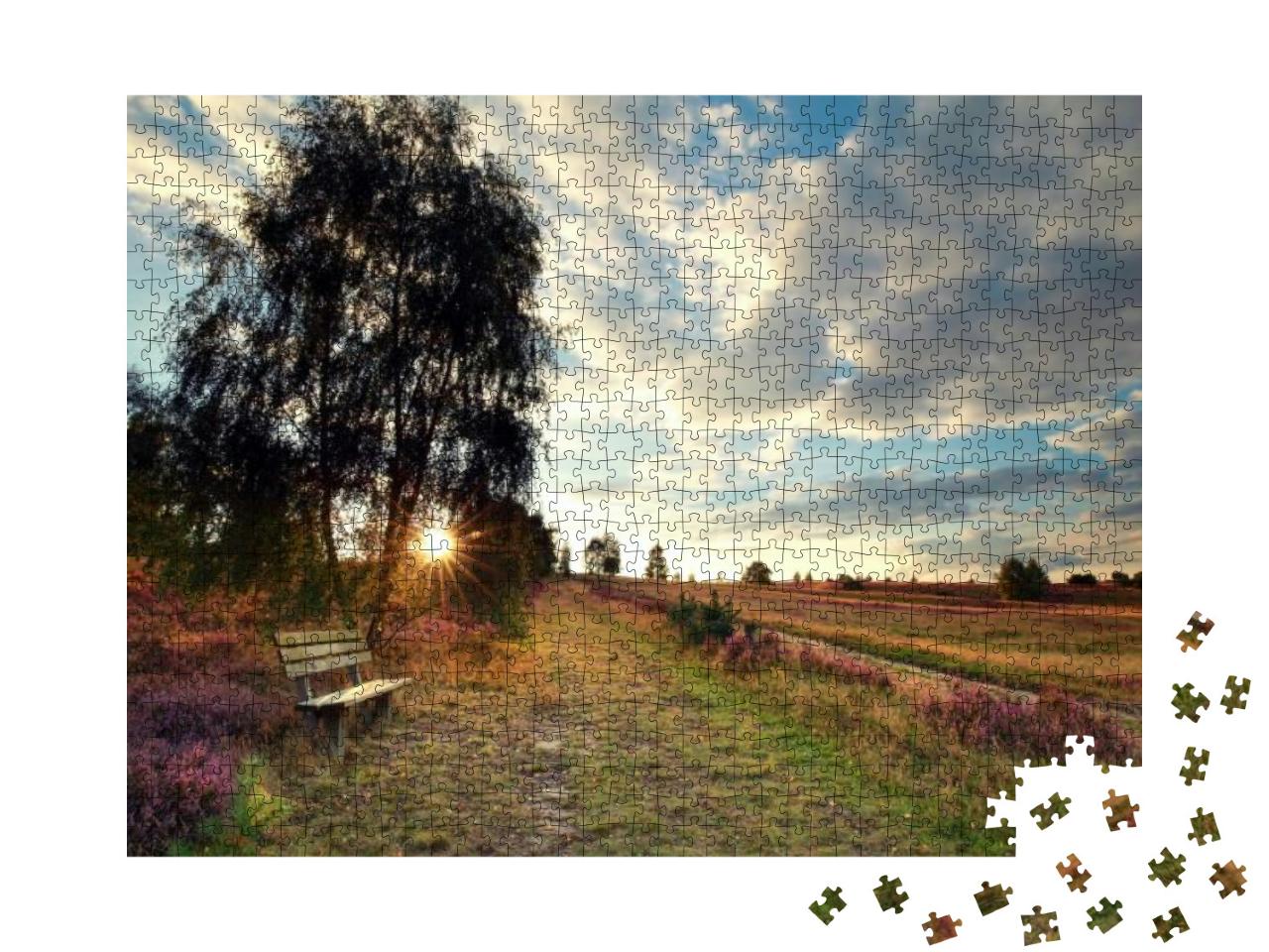 Sunshine Over Bench by Birch Tree, Luneburger Heide, Germ... Jigsaw Puzzle with 1000 pieces