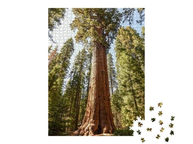 General Sherman Tree in Sequoia National Park, California... Jigsaw Puzzle with 1000 pieces