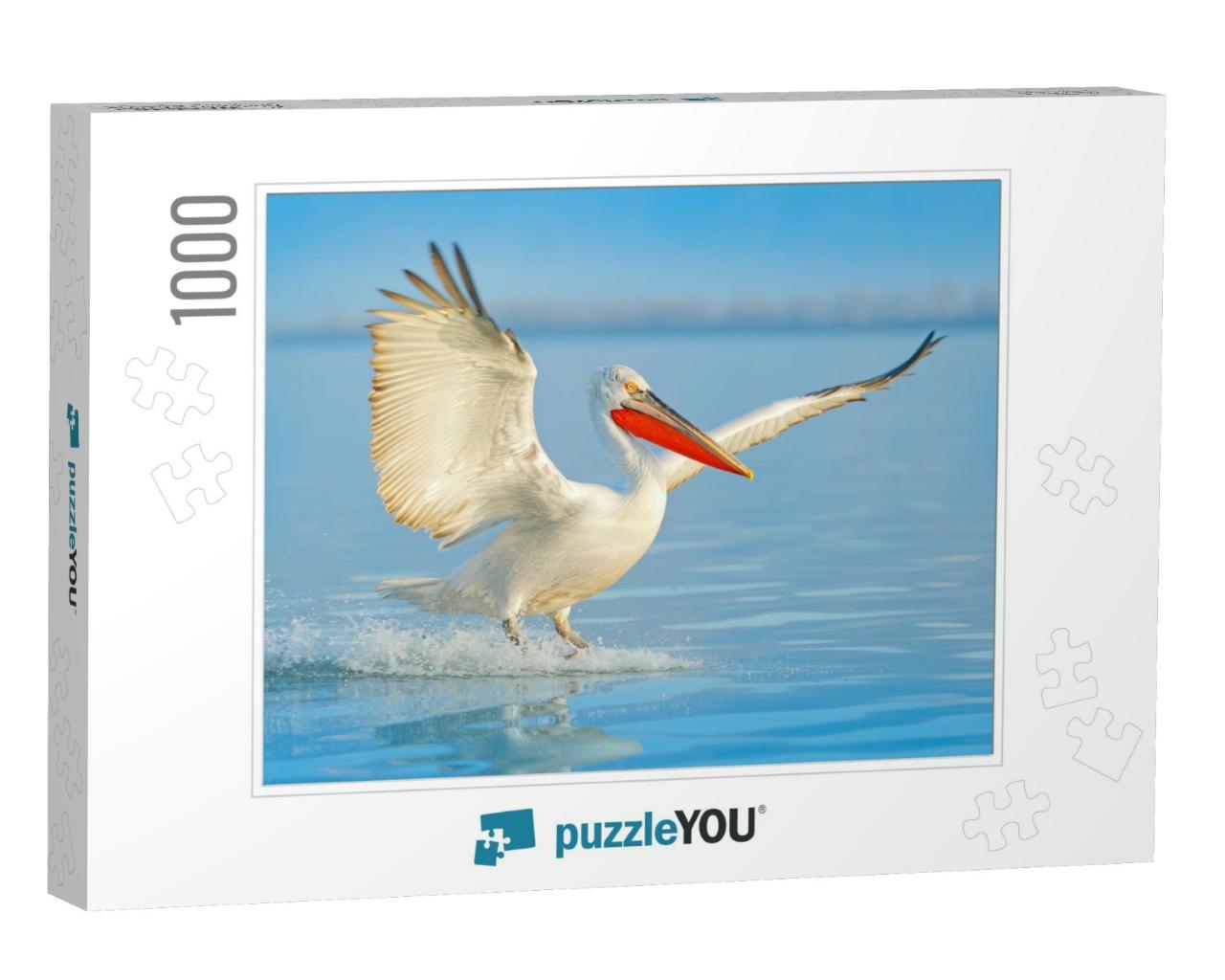 Bird Landing to the Blue Lake Water. Bird Fly. Dalmatian... Jigsaw Puzzle with 1000 pieces
