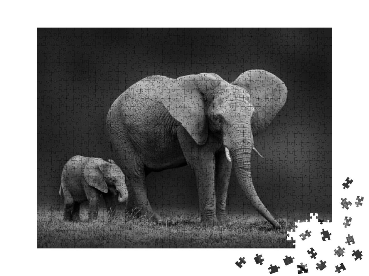 African Elephant Mother & Son... Jigsaw Puzzle with 1000 pieces