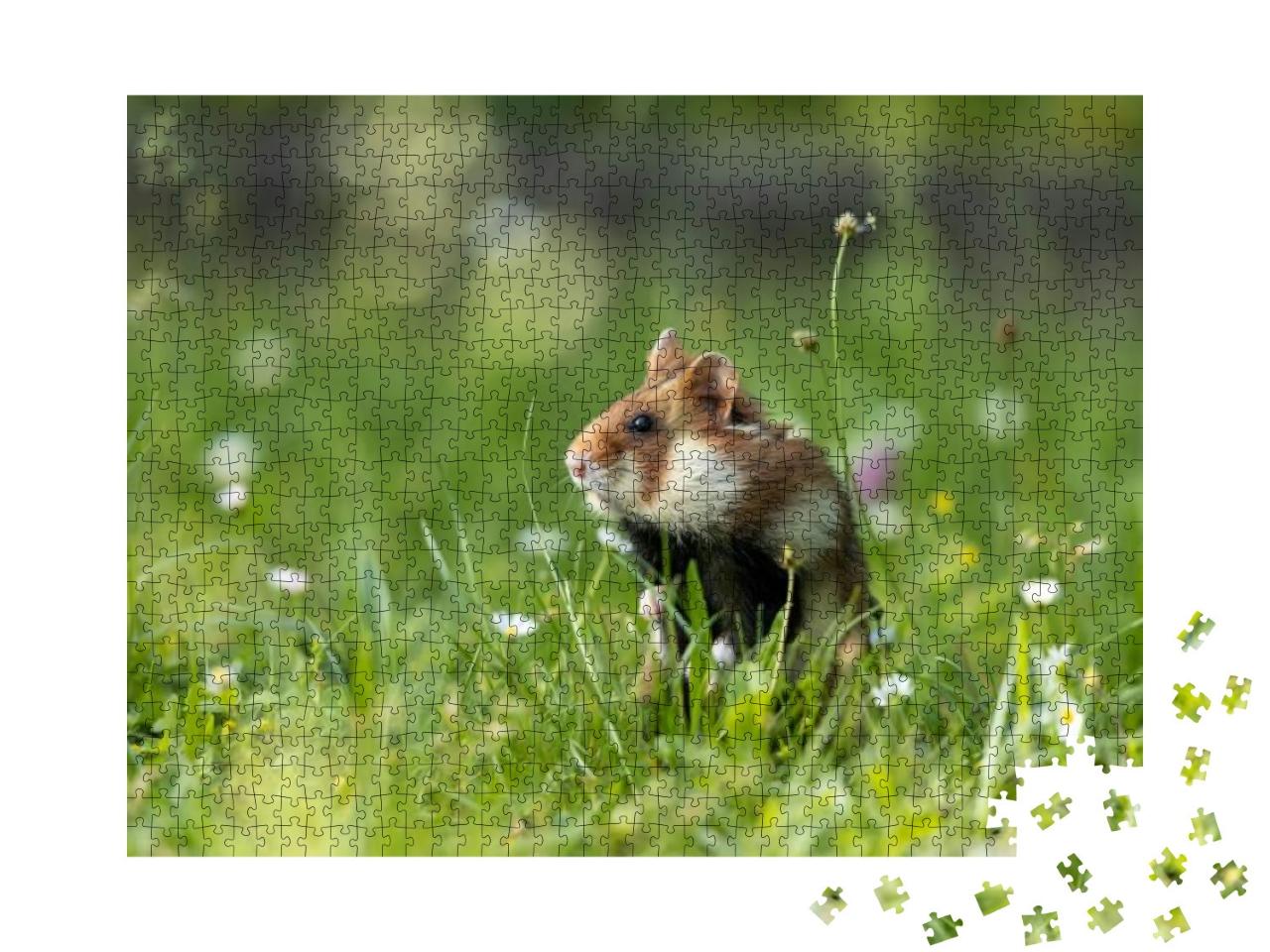 An Adult Field Hamster in a Green Meadow with Flowers... Jigsaw Puzzle with 1000 pieces