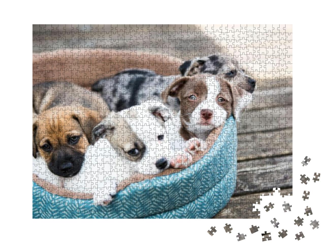 Litter of Terrier Mix Puppies Playing in Dog Bed Outside... Jigsaw Puzzle with 1000 pieces