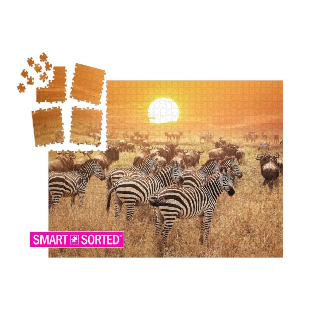 Zebra At Sunset in the Serengeti National Park. Africa. T... | SMART SORTED® | Jigsaw Puzzle with 1000 pieces