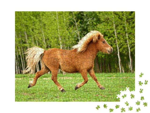 Cute Red Pony Running Trot At Field in Summer... Jigsaw Puzzle with 1000 pieces