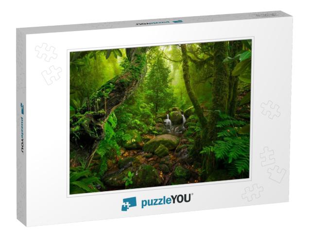 Asian Tropical Rainforest... Jigsaw Puzzle