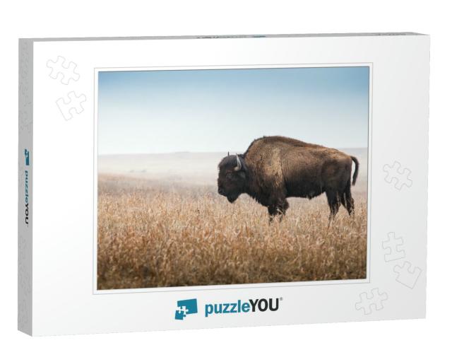 American Bison, Buffalo, Profile Standing in Tall Grass P... Jigsaw Puzzle