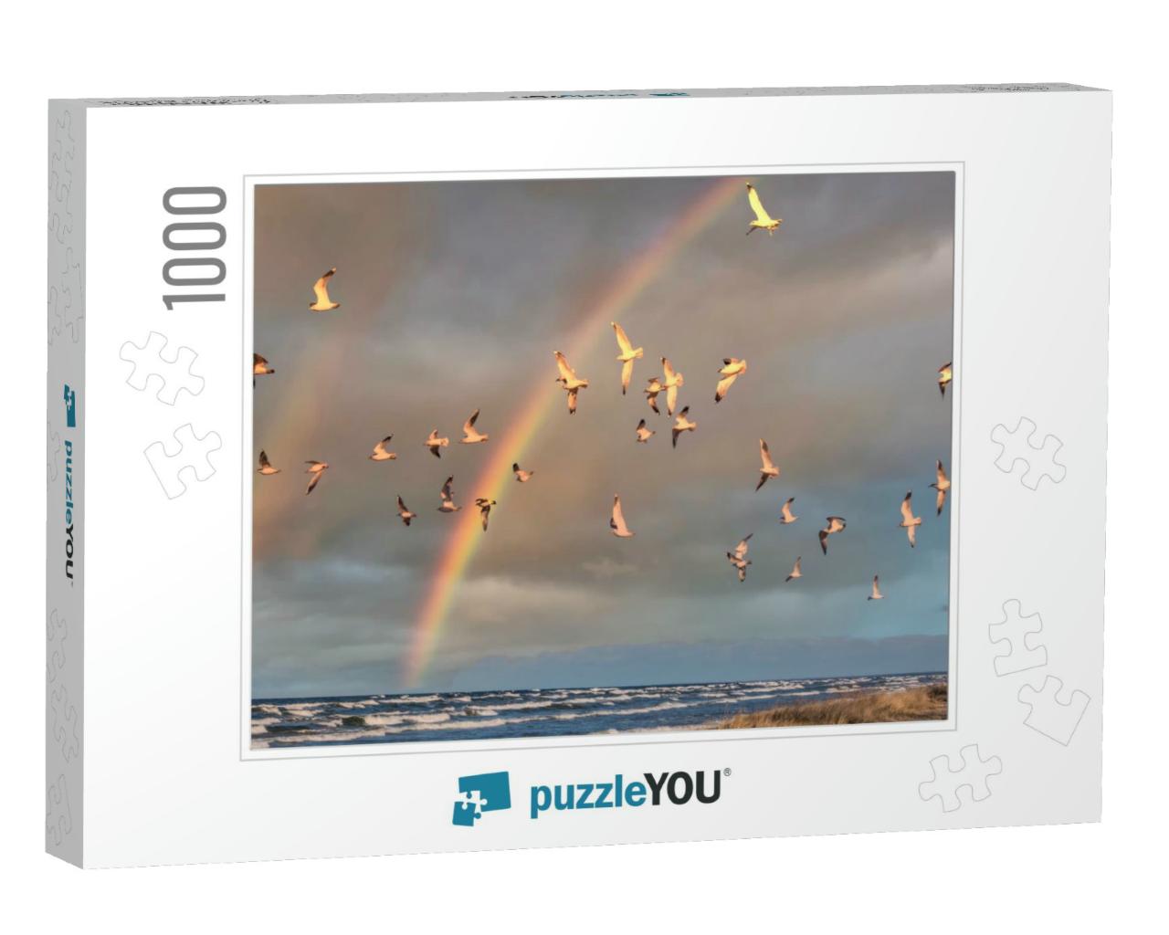 Birds Over a Baltic Sea Beach on a Sunny Day with Rainbow... Jigsaw Puzzle with 1000 pieces