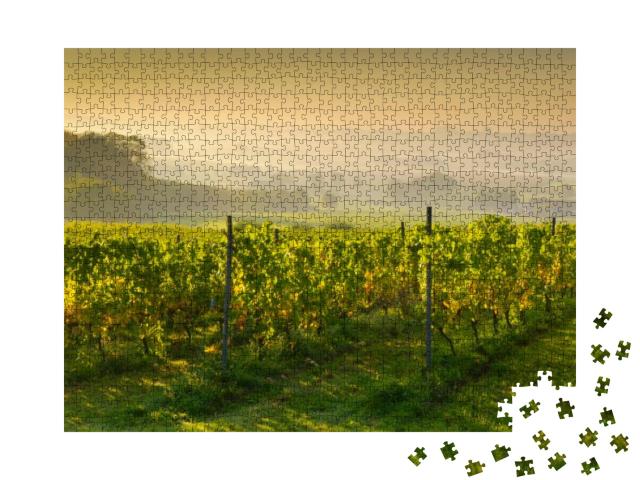 Sunset on a Vineyard... Jigsaw Puzzle with 1000 pieces