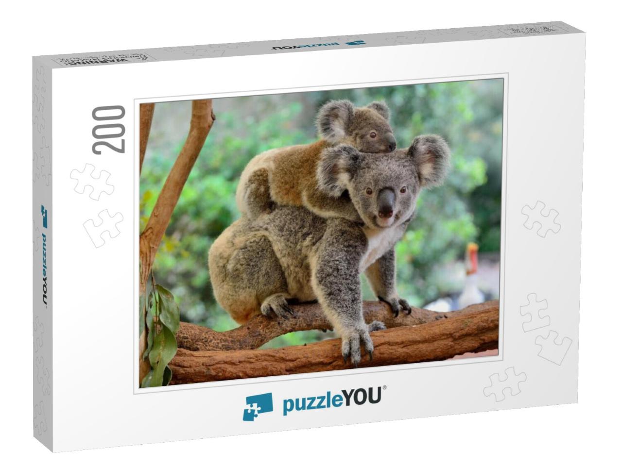 Mother Koala with Baby on Her Back, on Eucalyptus Tree... Jigsaw Puzzle with 200 pieces