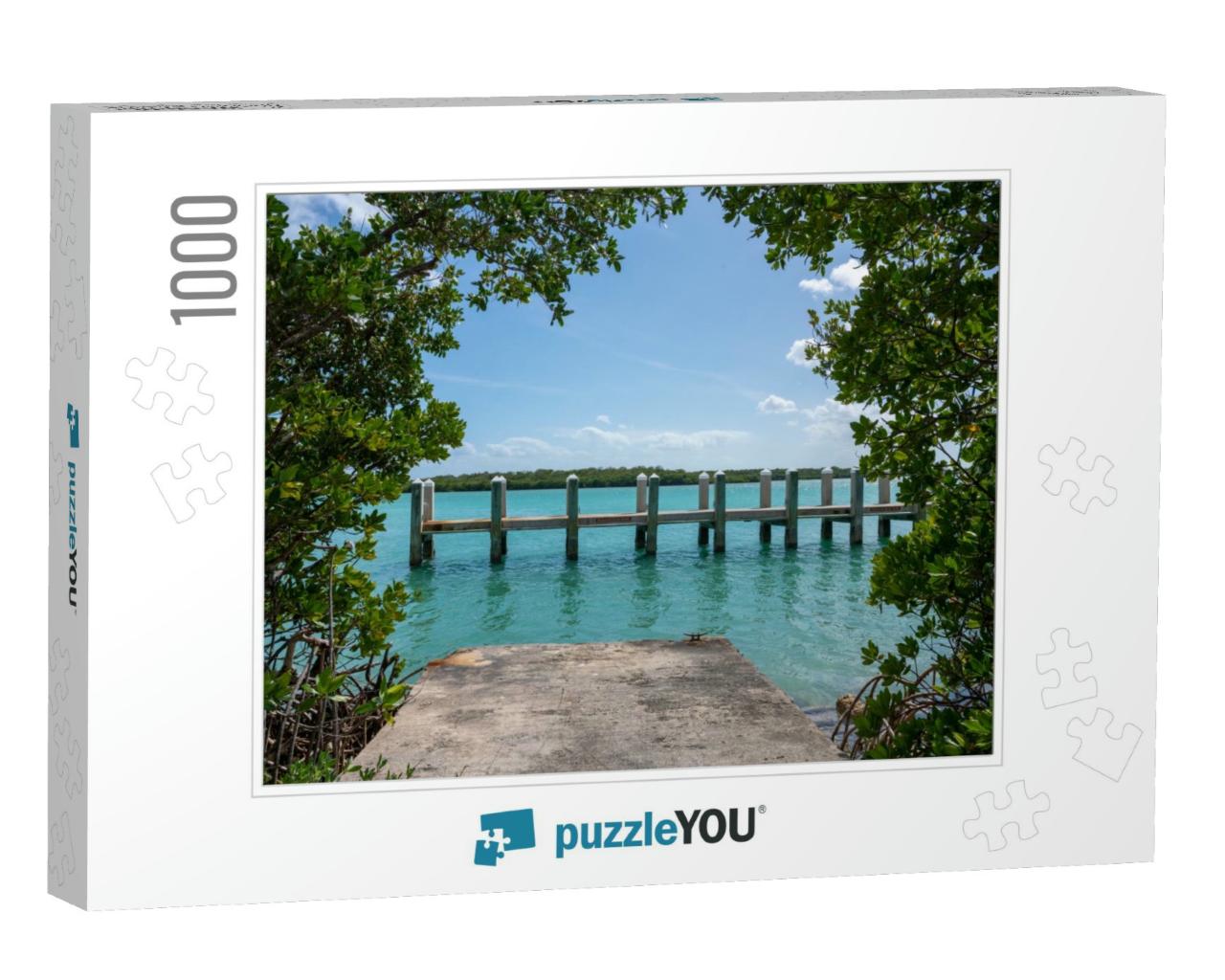 Dock At Adams Key Through Mangrove Leaves... Jigsaw Puzzle with 1000 pieces
