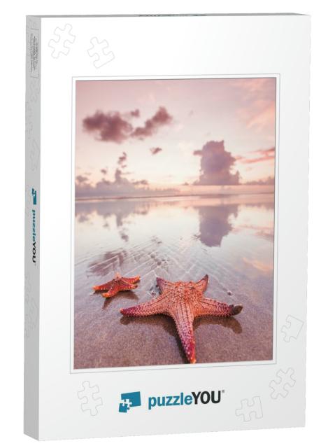 Two Starfish on Sea Beach At Sunset, Bali, Seminyak, Doub... Jigsaw Puzzle