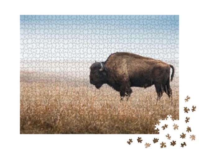 American Bison, Buffalo, Profile Standing in Tall Grass P... Jigsaw Puzzle with 1000 pieces