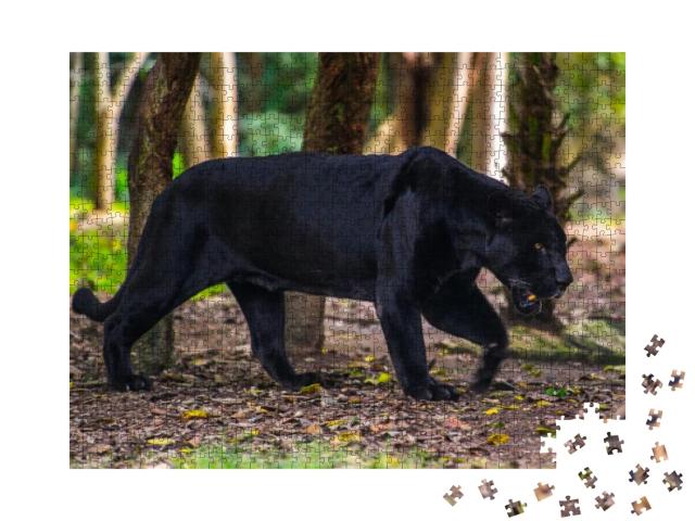 Black Panther Walks Through the Jungle... Jigsaw Puzzle with 1000 pieces