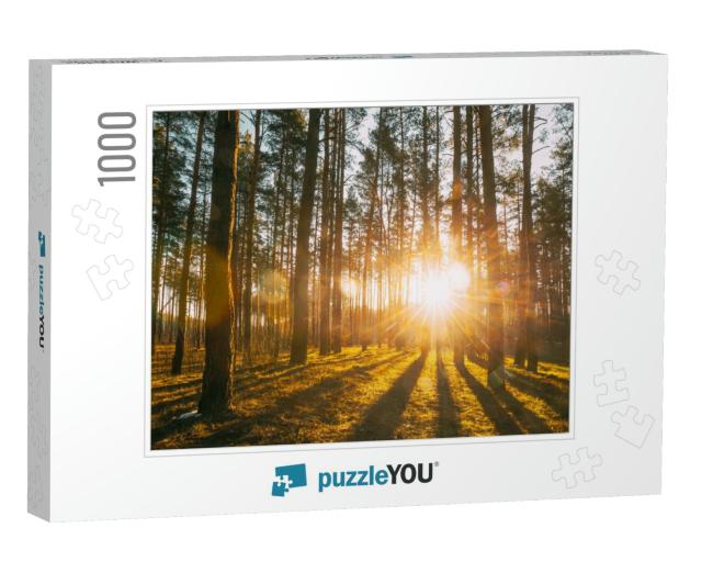Beautiful Sunset Sunrise Sun Sunshine in Sunny Spring Con... Jigsaw Puzzle with 1000 pieces