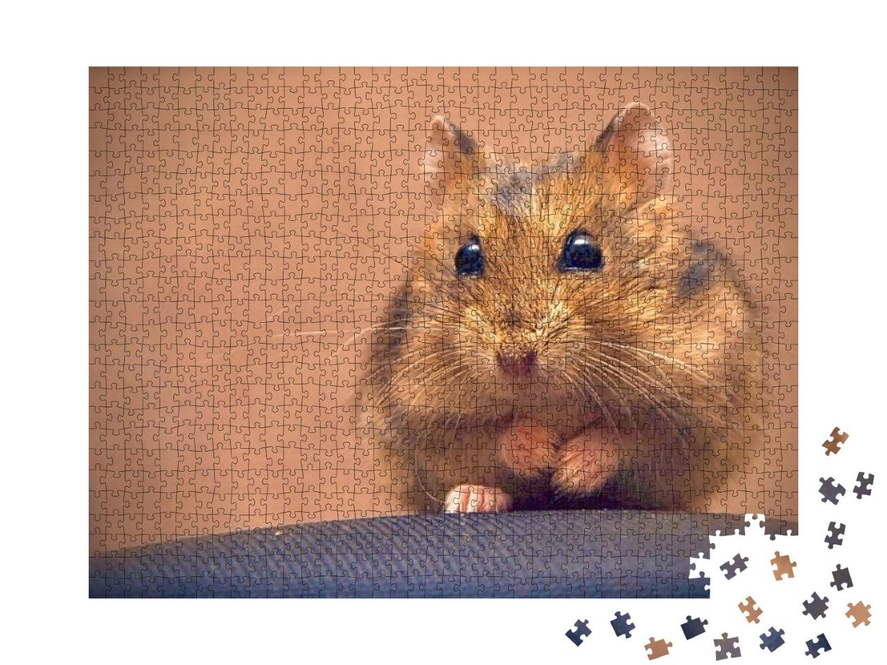 Beautiful Hamster Sits on His Hind Legs... Jigsaw Puzzle with 1000 pieces