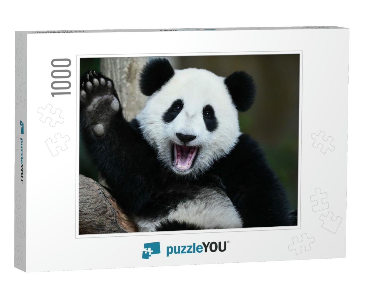 A Playful Happy Panda in China... Jigsaw Puzzle with 1000 pieces