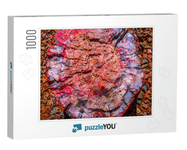 Red Blue Orange Petrified Wood Log Abstract Visitor Cente... Jigsaw Puzzle with 1000 pieces
